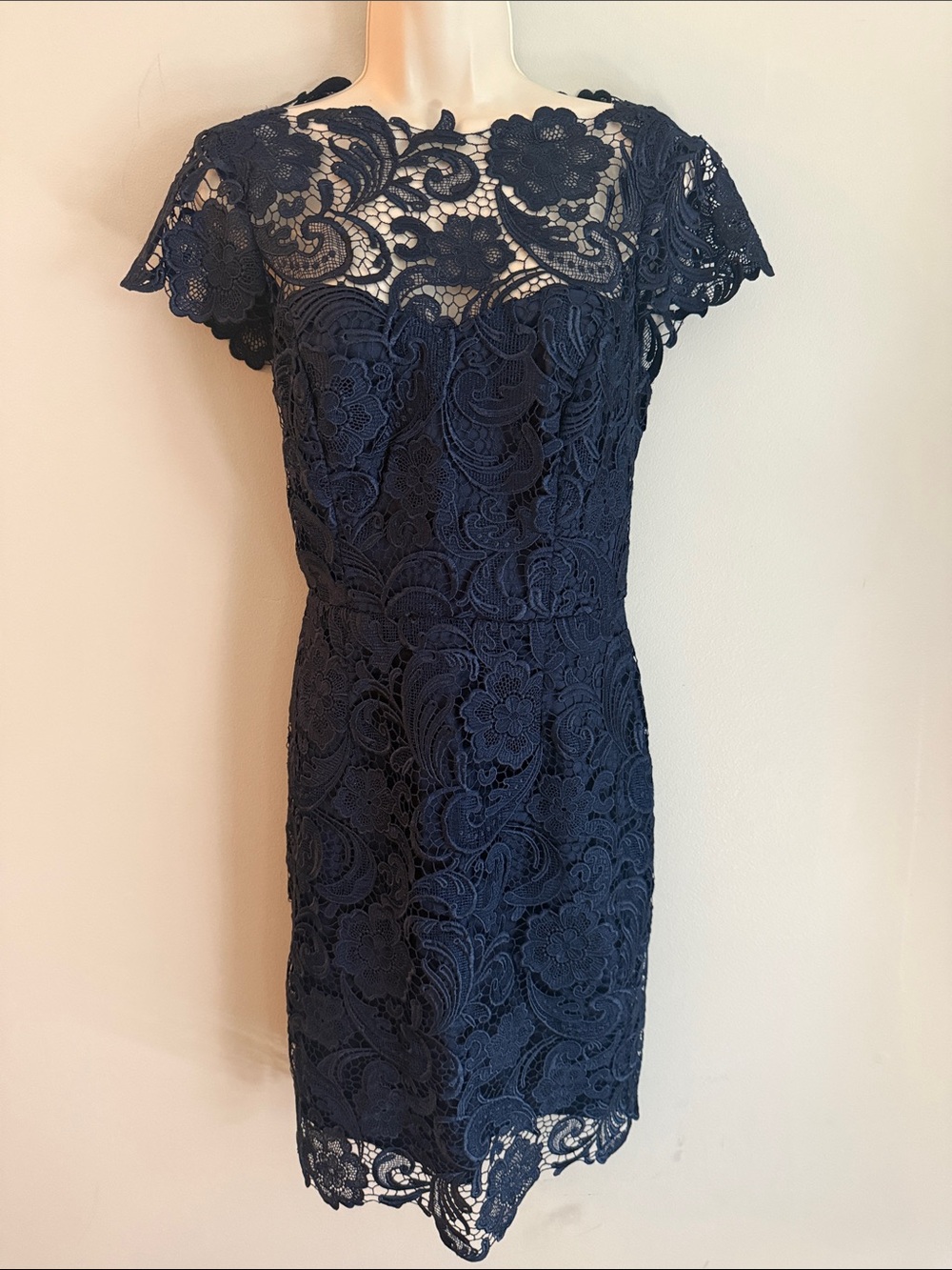 Navy Lace Midi Dress with Sheer Yoke